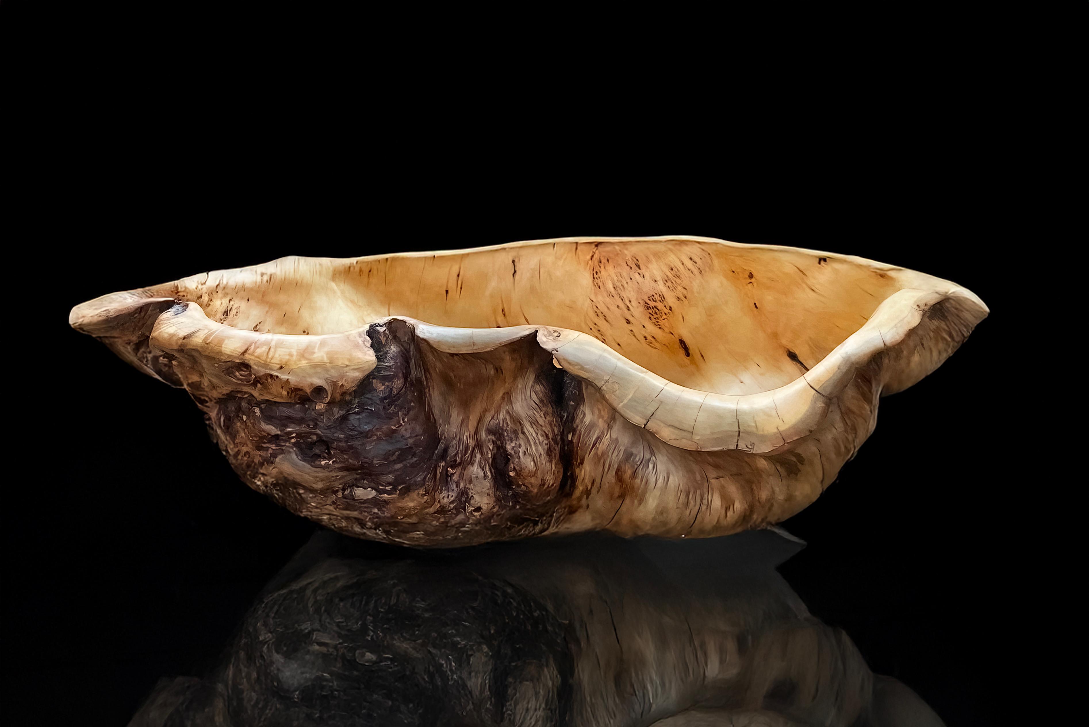 Forest Oyster