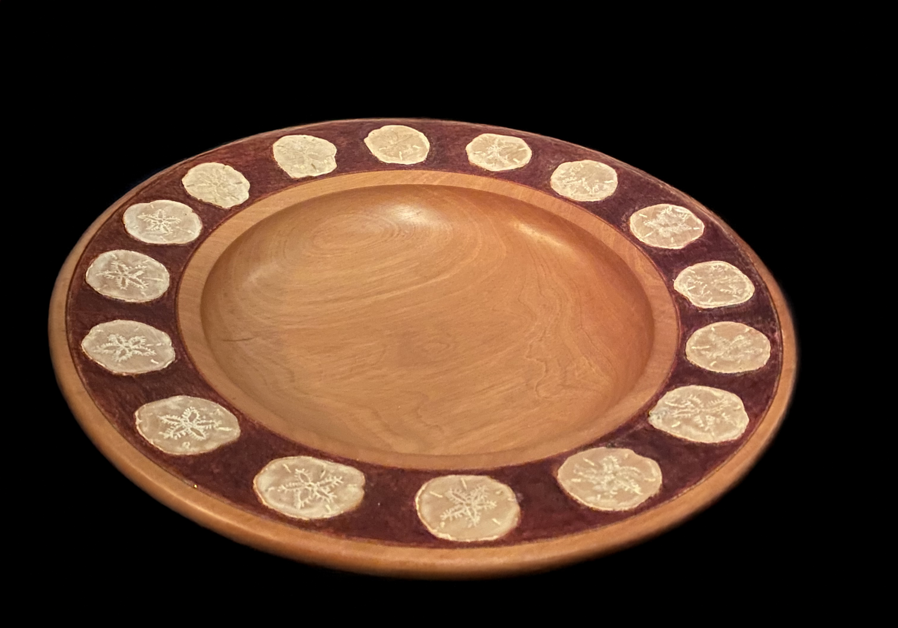 Sand dollar collection