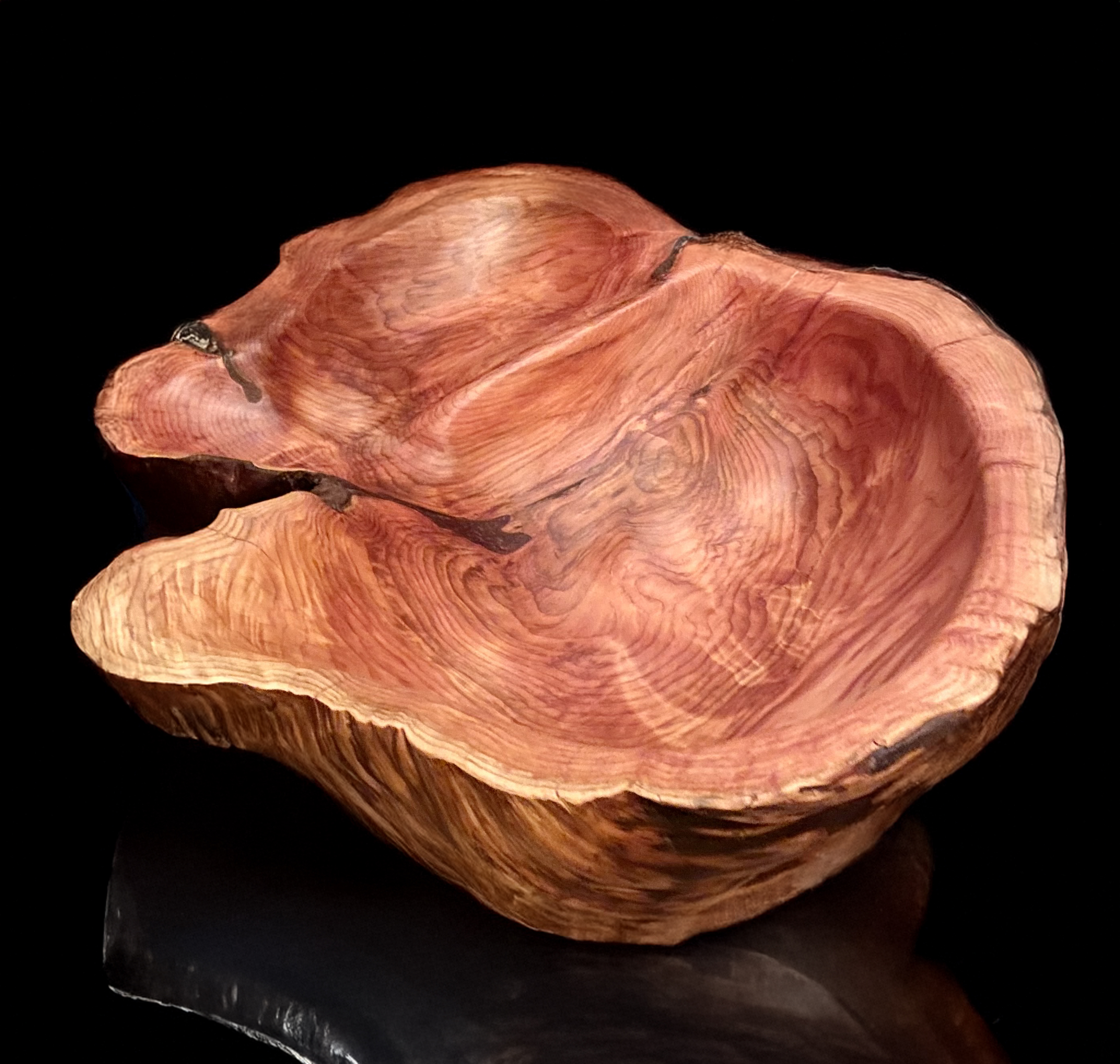 Red cedar surprise